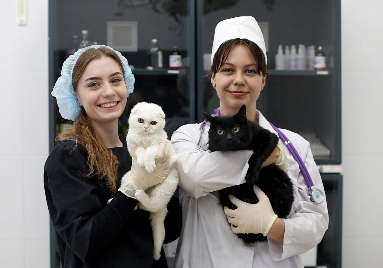 Кампус 204 квартал