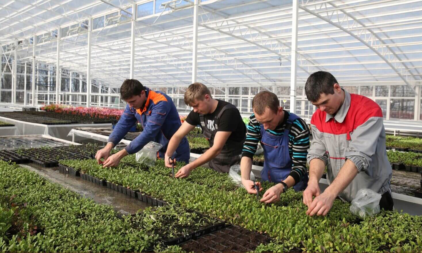 Полевые исследования