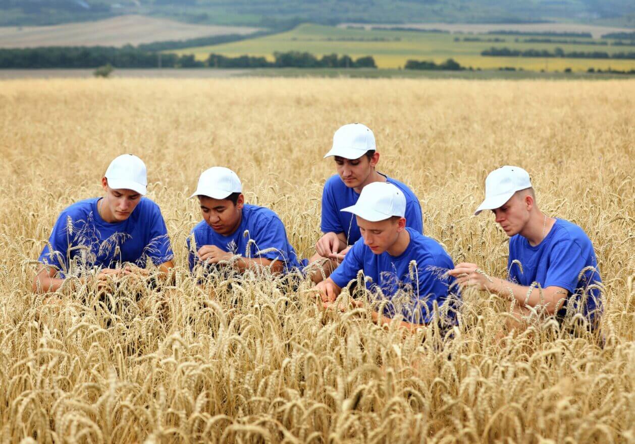 Учебно-производственные поля