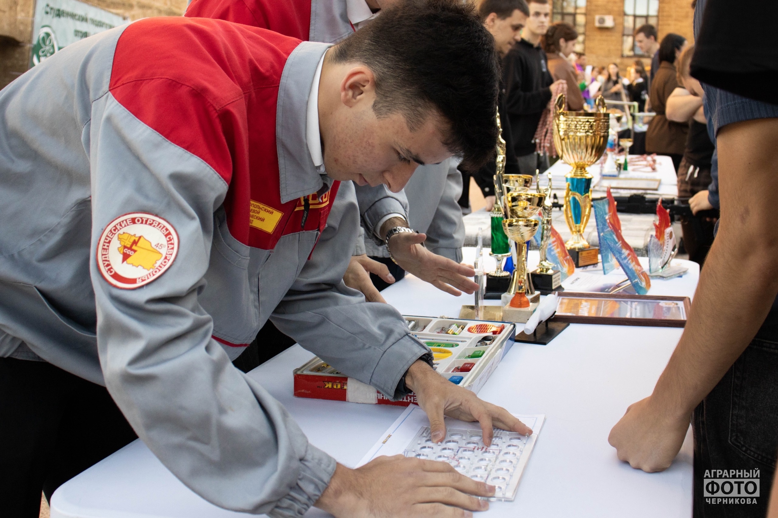 Волонтерские отряды